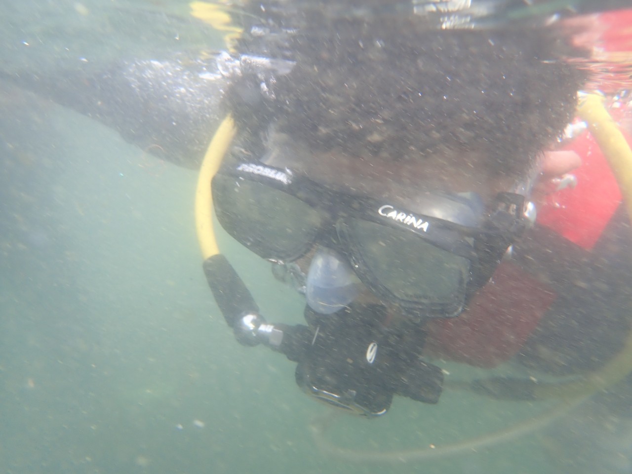 1140526海洋在地守護計畫學生水下浮潛觀察鈕扣珊瑚活動