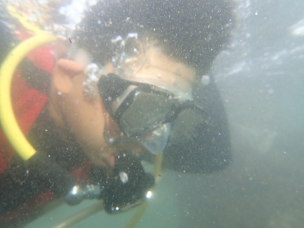 1140526海洋在地守護計畫學生水下浮潛觀察鈕扣珊瑚活動